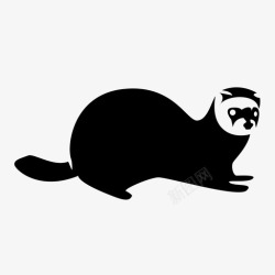鼬鼠雪貂动物哺乳动物图标高清图片