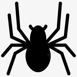 蜘蛛捕食蜘蛛蜘蛛网有毒图标高清图片