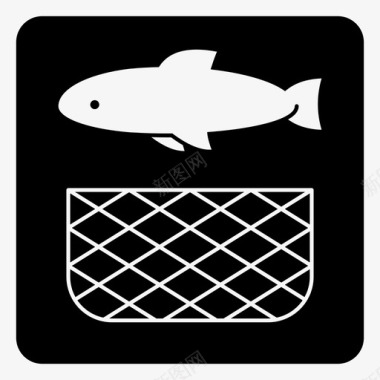 野生鱼图标图标