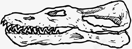 乌龙头骨三角龙恐龙骨图标图标