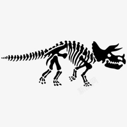 恐龙骨骼素材三角龙骨骼四足动物史前图标高清图片