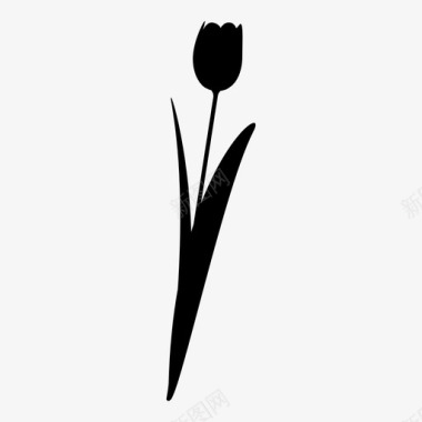 郁金香欧洲花卉图标图标
