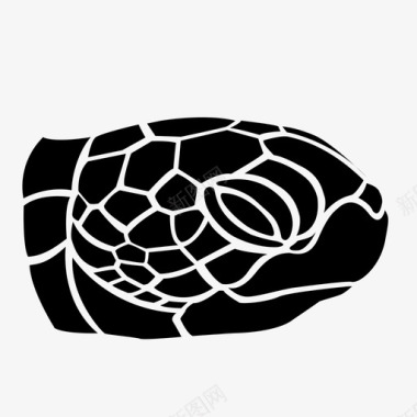 海龟头热带海龟图标图标