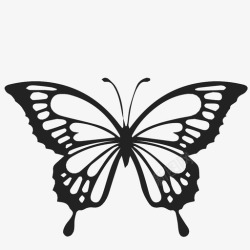 美丽变身蝴蝶变身昆虫图标高清图片