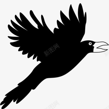乌鸦鹰飞翔图标图标