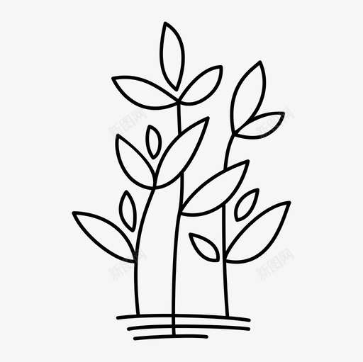 植物有机园艺种子图标svg_新图网 https://ixintu.com 厨房花园 有机园艺 树叶 植物 种子 种植你自己的 种植植物 自然 花 药草