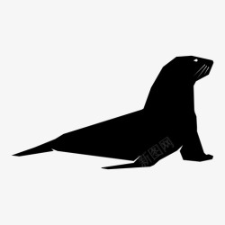 鳍足类海豹海洋生物海洋动物图标高清图片
