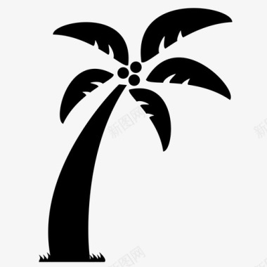 棕榈树热带岛屿图标图标