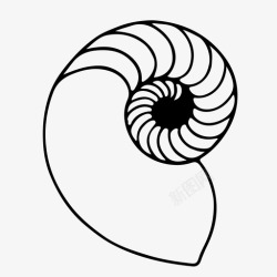 达芬奇黄金分割鹦鹉螺贝壳序列完美序列图标高清图片