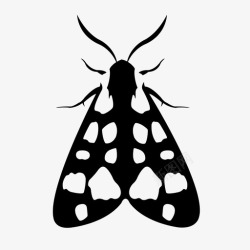 黑白蛾子素材乳斑虎蛾蛾子昆虫图标高清图片