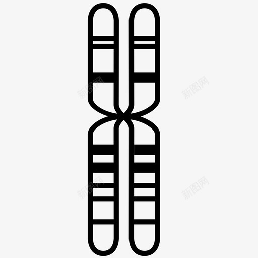 染色体生物学dna图标svg_新图网 https://ixintu.com dna 基因 染色体 生物学 遗传学