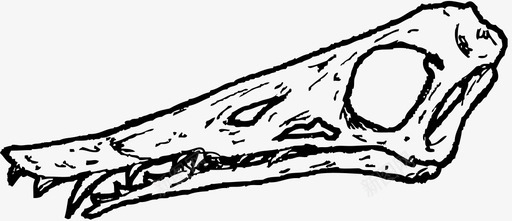 巨蜥头骨动物恐龙图标图标