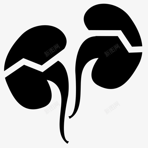 肾衰竭解剖学呼吸图标svg_新图网 https://ixintu.com 人体解剖学 呼吸 器官 肺 肾衰竭 解剖学