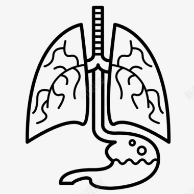 解剖学生物学人体解剖学图标图标