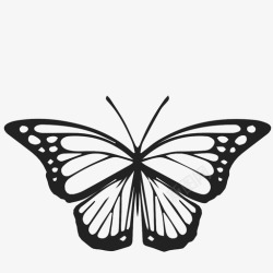 美丽飞虫蝴蝶美丽帝王图标高清图片