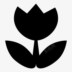 淑女花花夏天春天图标高清图片