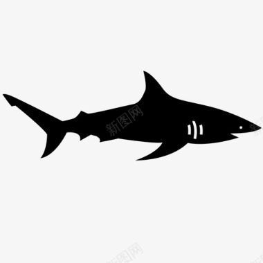 鲨鱼海洋捕食者海洋生物图标图标