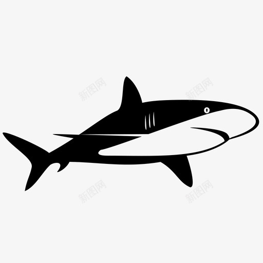 鲨鱼动物水族馆图标svg_新图网 https://ixintu.com 动物 大白鲨 水族馆 海洋 游泳 野生动物 鱼 鱼翅 鲨鱼