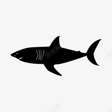 鲨鱼动物生物图标图标