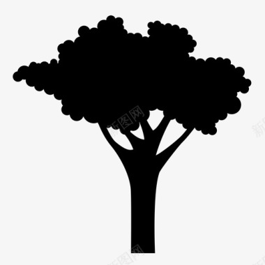 树茎植物图标图标