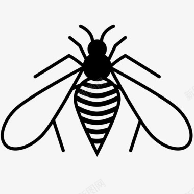 黄蜂动物蜜蜂图标图标