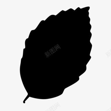 铜山毛榉腐木植物叶图标图标