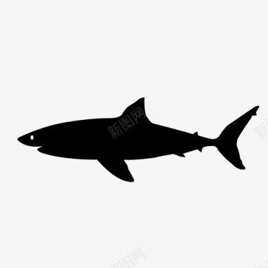鲨鱼海洋生物海洋动物图标图标