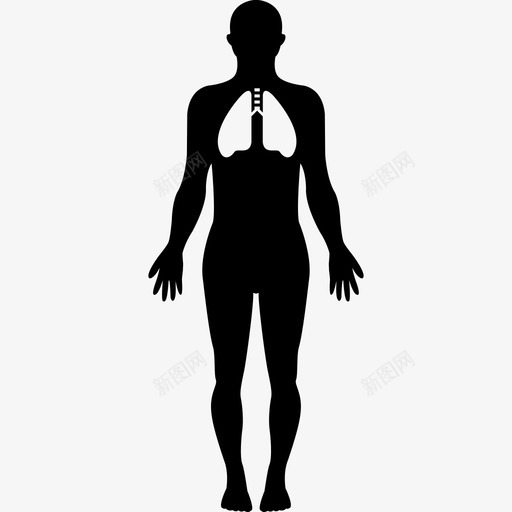 关注肺部医疗身体部位的人体轮廓图标svg_新图网 https://ixintu.com 健康 关注肺部 医疗 身体部位的人体轮廓