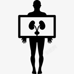 人图像人的手人身体部位的肺部图像图标高清图片