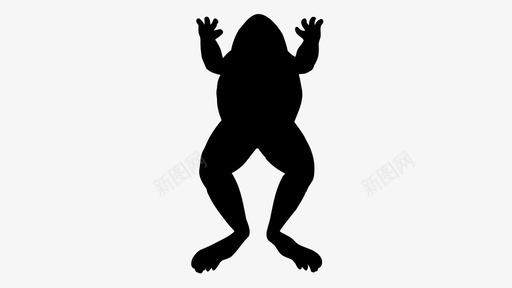 青蛙动物蟾蜍图标图标