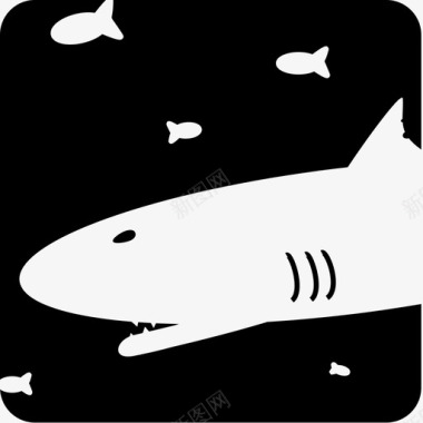 海里的鲨鱼。图标图标