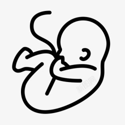 未出生的胎儿婴儿孩子图标高清图片