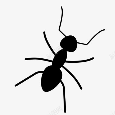 蚂蚁动物虫子图标图标