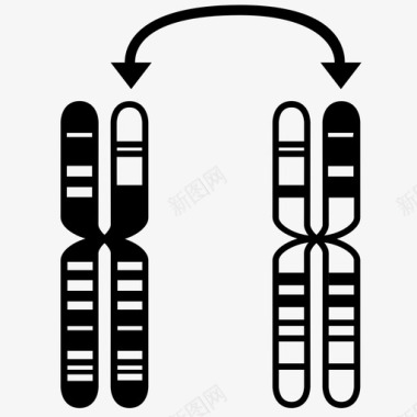 染色体易位生物学癌症图标图标