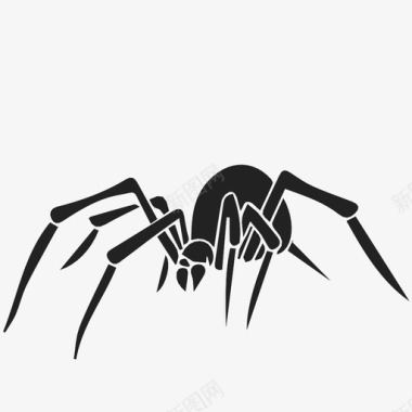 蜘蛛蜘蛛纲蜘蛛恐惧症图标图标