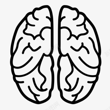 大脑解剖学生物学图标图标