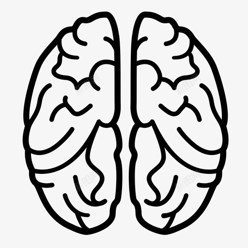 大脑解剖学生物学图标svg_新图网 https://ixintu.com 人类 人脑 大脑 思考 生物学 神经学家 解剖学