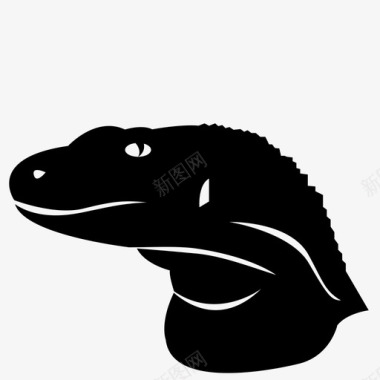 科莫多龙动物恐龙图标图标