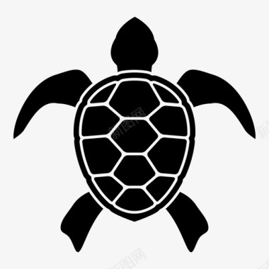 海龟海洋生物爬行动物图标图标