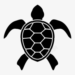两栖类海龟海洋生物爬行动物图标高清图片