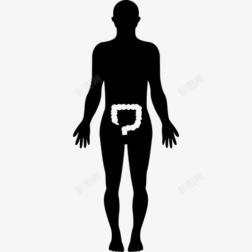 人体轮廓突出显示在大肠医疗图标svg_新图网 https://ixintu.com 人体轮廓 人的轮廓图 医疗 突出显示在大肠 身体部位
