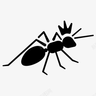 蚁后虫子昆虫图标图标