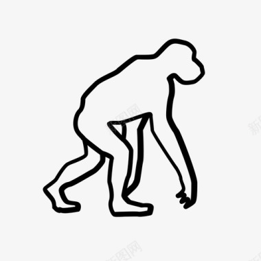 类人猿动物进化图标图标
