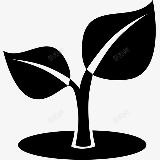 植物幼苗培育图标svg_新图网 https://ixintu.com 发育 叶 培育 幼苗 新 树 植物 生长 自然 进化