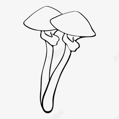蘑菇药物迷幻药图标图标