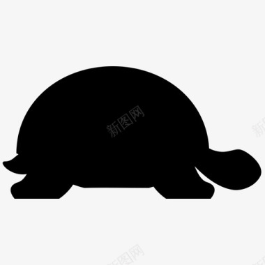 海龟龟鳖科慢图标图标