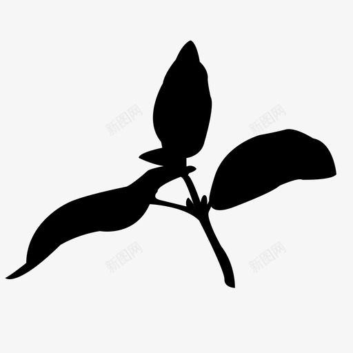 罗勒植物自然图标svg_新图网 https://ixintu.com 叶 杂草 植物 生长 绿色 罗勒 自然 花园 草本