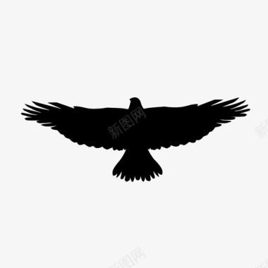 鹰乌鸦飞行图标图标