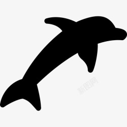 大陆架海豚形状浅海图标高清图片