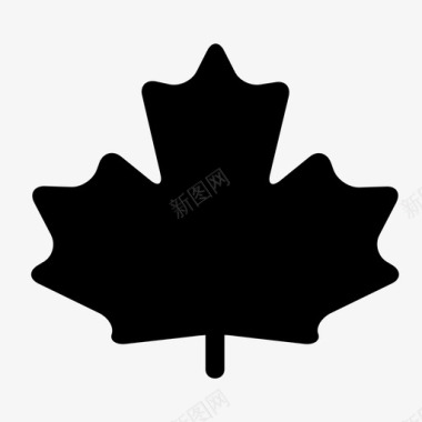 加拿大秋天树叶图标图标